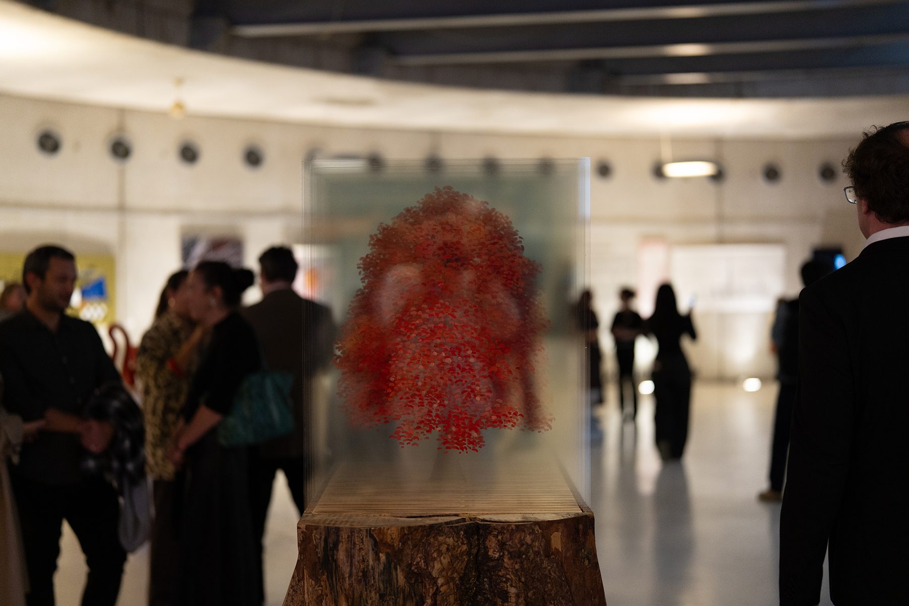 Photo from the Intersections exhibition, credit Bilkent Photography Club
